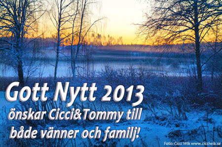 Gott Nytt 2013!