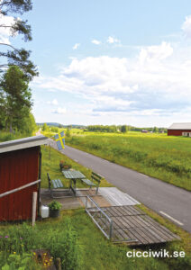 Forshagabilder blandat