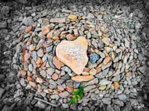 Ett hjärta på stranden.