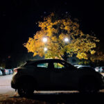 Hundhuvudets ägare, vem är det?